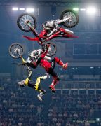 NIGHT of the JUMPs München 2024 NIGHT of the JUMPs München 2024