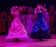 d190201-232520-560-100-oide_wiesn_buergerball-narrhalla_garde