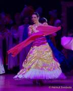 d190201-232544-230-100-oide_wiesn_buergerball-narrhalla_garde