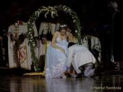 d190201-233028-360-100-oide_wiesn_buergerball-narrhalla_garde