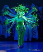 d190201-233338-380-100-oide_wiesn_buergerball-narrhalla_garde