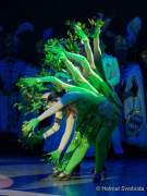 d190201-233359-440-100-oide_wiesn_buergerball-narrhalla_garde