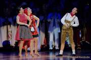d190201-233444-530-100-oide_wiesn_buergerball-narrhalla_garde