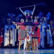 d190201-233542-530-100-oide_wiesn_buergerball-narrhalla_garde