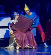 d190201-233607-260-100-oide_wiesn_buergerball-narrhalla_garde