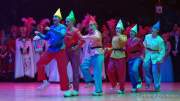 d190201-233636-490-100-oide_wiesn_buergerball-narrhalla_garde