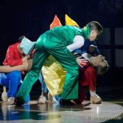 d190201-233822-930-100-oide_wiesn_buergerball-narrhalla_garde