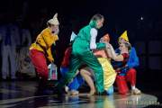 d190201-233831-690-100-oide_wiesn_buergerball-narrhalla_garde
