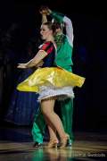 d190201-233842-650-100-oide_wiesn_buergerball-narrhalla_garde