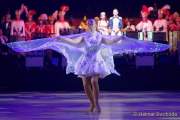 d200124-232529-760-100-oide_wiesn_buergerball-narrhalla_garde