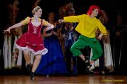 Oide Wiesn Buergerball 2026
