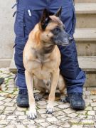 Oktoberfest 2025:Abschluss-PK