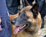 Oktoberfest 2025:Abschluss-PK