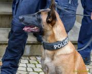 Oktoberfest 2025:Abschluss-PK