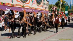 Wiesn 2025 - Einzug der Wiesnwirte