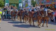 Oktoberfest 2026 - Einzug der Wiesnwirte