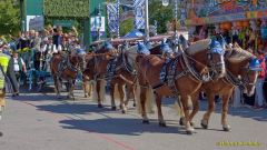 Oktoberfest 2026 - Einzug der Wiesnwirte