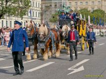 Oktoberfest 2026 - Trachten- und Schützenzug