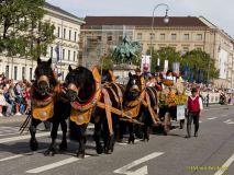 Oktoberfest 2026 - Trachten- und Schützenzug