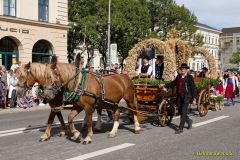 Oktoberfest 2026 - Trachten- und Schützenzug