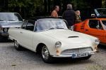 Oldtimertreffen im Waldgasthof Buchenhain  2025