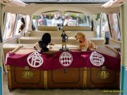 Oldtimertreffen im Waldgasthof Buchenhain  2025