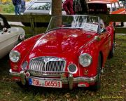 Oldtimertreffen im Waldgasthof Buchenhain  2025