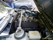 Oldtimertreffen im Waldgasthof Buchenhain  2025