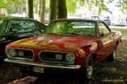 Oldtimertreffen im Waldgasthof Buchenhain  2025