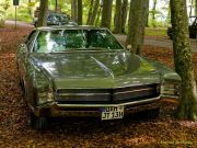 Oldtimertreffen im Waldgasthof Buchenhain  2025