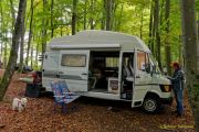 Oldtimertreffen im Waldgasthof Buchenhain  2025