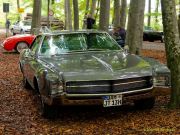 Oldtimertreffen im Waldgasthof Buchenhain  2025