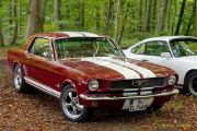 Oldtimertreffen im Waldgasthof Buchenhain  2025