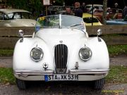 Oldtimertreffen im Waldgasthof Buchenhain  2025