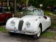 Oldtimertreffen im Waldgasthof Buchenhain  2025