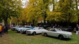 Oldtimertreffen im Waldgasthof Buchenhain  2025