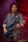 d190702-195050-090-100-tollwood-toto