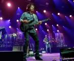 d190702-195329-500-100-tollwood-toto