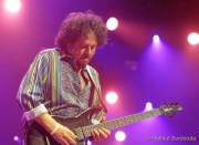 d190702-195537-830-100-tollwood-toto