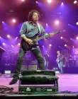d190702-195602-100-100-tollwood-toto