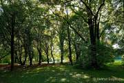 Foto-Spaziergang am 2.10.2021 im Ostpark