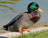 Foto-Spaziergang am 2.10.2021 im Ostpark