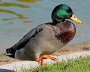 Foto-Spaziergang am 2.10.2021 im Ostpark