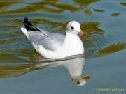 Foto-Spaziergang am 2.10.2021 im Ostpark