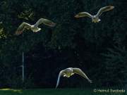 Foto-Spaziergang am 2.10.2021 im Ostpark