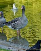 Foto-Spaziergang am 2.10.2021 im Ostpark