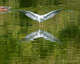 Foto-Spaziergang am 2.10.2021 im Ostpark