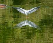 Foto-Spaziergang am 2.10.2021 im Ostpark