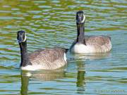 Foto-Spaziergang am 2.10.2021 im Ostpark