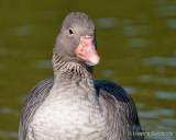 Foto-Spaziergang am 2.10.2021 im Ostpark